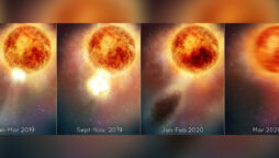 A gigantic eruption never before observed on Supergiant Betelgeuse
