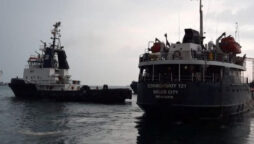Turkey says 2 more grain ships departed from Ukraine