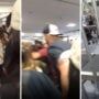 Las Vegas flights grounded as ‘Unfounded’ gunshot reports