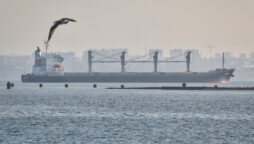 First UN ship carrying Ukraine grain to Africa departs