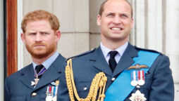 Prince Harry fears ‘attacking’ senior royal members