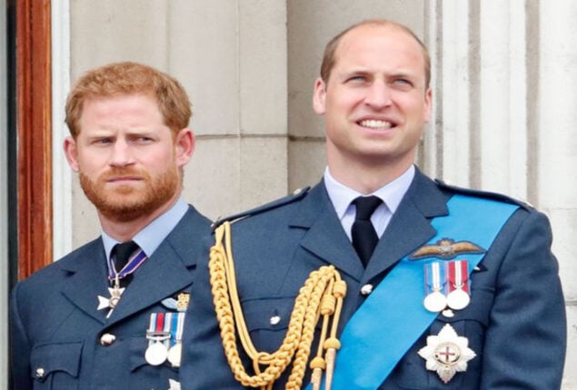 Prince Harry fears ‘attacking’ senior royal members