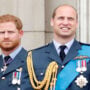 Prince Harry fears ‘attacking’ senior royal members