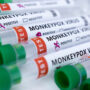 Britain claims the monkeypox outbreak is ‘slowing’