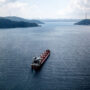 Location of the first ship carrying grain to leave Ukraine is unknown