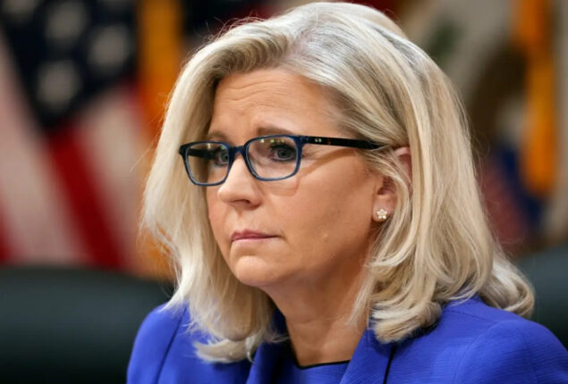 Liz Cheney asks Democrats to shift parties and boost her GOP primary campaign