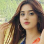 Alishbah Anjum’s TikTok video goes viral