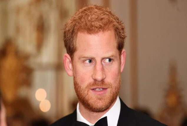 Prince Harry memoir: ‘planning for the worst’