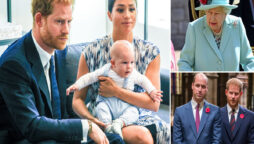 Prince Harry, Meghan Markle “failed” They never led
