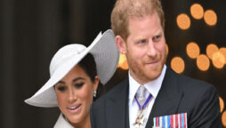 Prince Harry ‘incendiary allegation’ “widens rift”