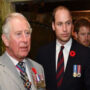 Prince Charles and William told to be wary of Harry before bomb