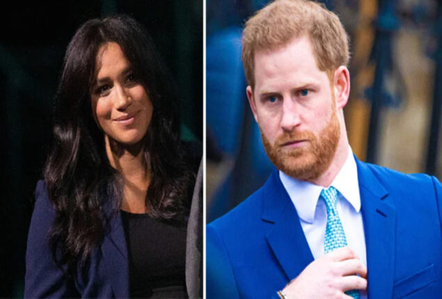 Prince Harry, Meghan Markle are ‘troubled by hectic times,’: Report