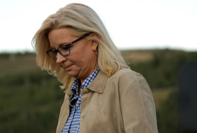 Joe Biden called Liz Cheney after she lost her primary election
