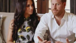 UK visit by Harry and Meghan is called “planned provocation”