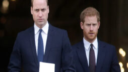 Princes William and Harry “on toes” “Boiling!”
