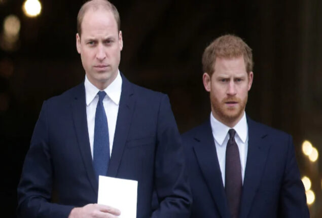 Princes William and Harry “on toes” “Boiling!”