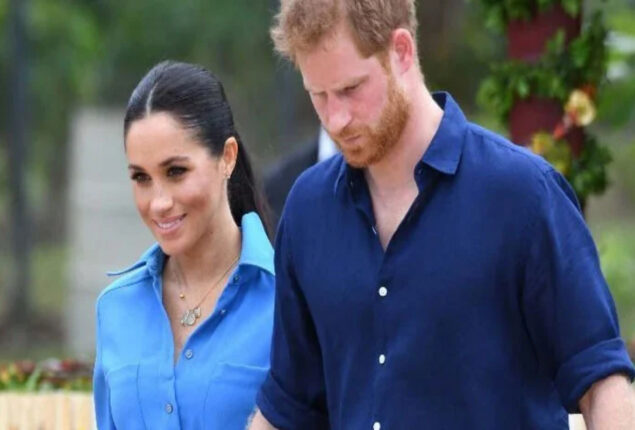 Meghan Markle criticized royal protocol after sharing a terrifying
