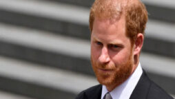 Prince Harry’s memoir will boost him: Not in his DNA to destroy