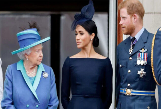 Prince Harry and Meghan Markle do not have “family support”