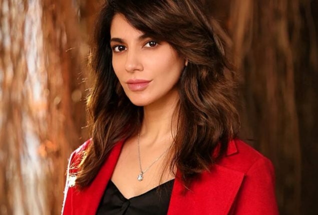 Navin Waqar discusses her marriage and divorce and how It affected her