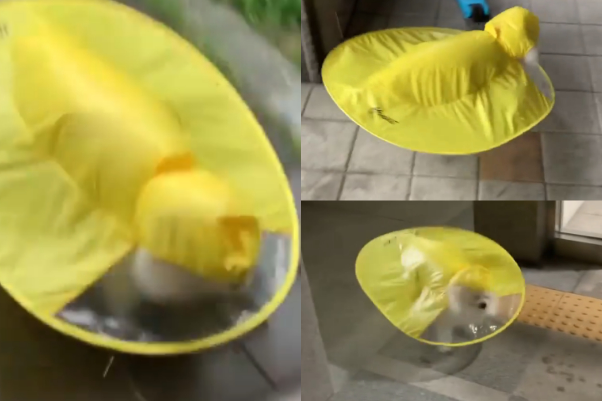 umbrella-shaped raincoat