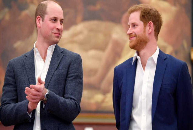 Prince William and Harry will reconcile next year, says psychic