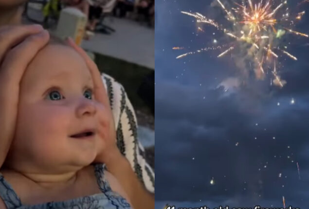 Baby sees fireworks for the first time her reaction is priceless