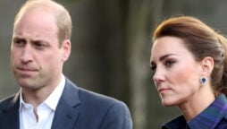 Prince William general speech reports dismissed