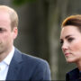 Prince William general speech reports dismissed