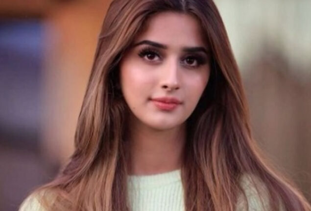 TikToker Alishbah Anjum shares styling tips