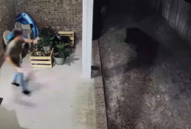 Viral video shows man protect dog from bear assault