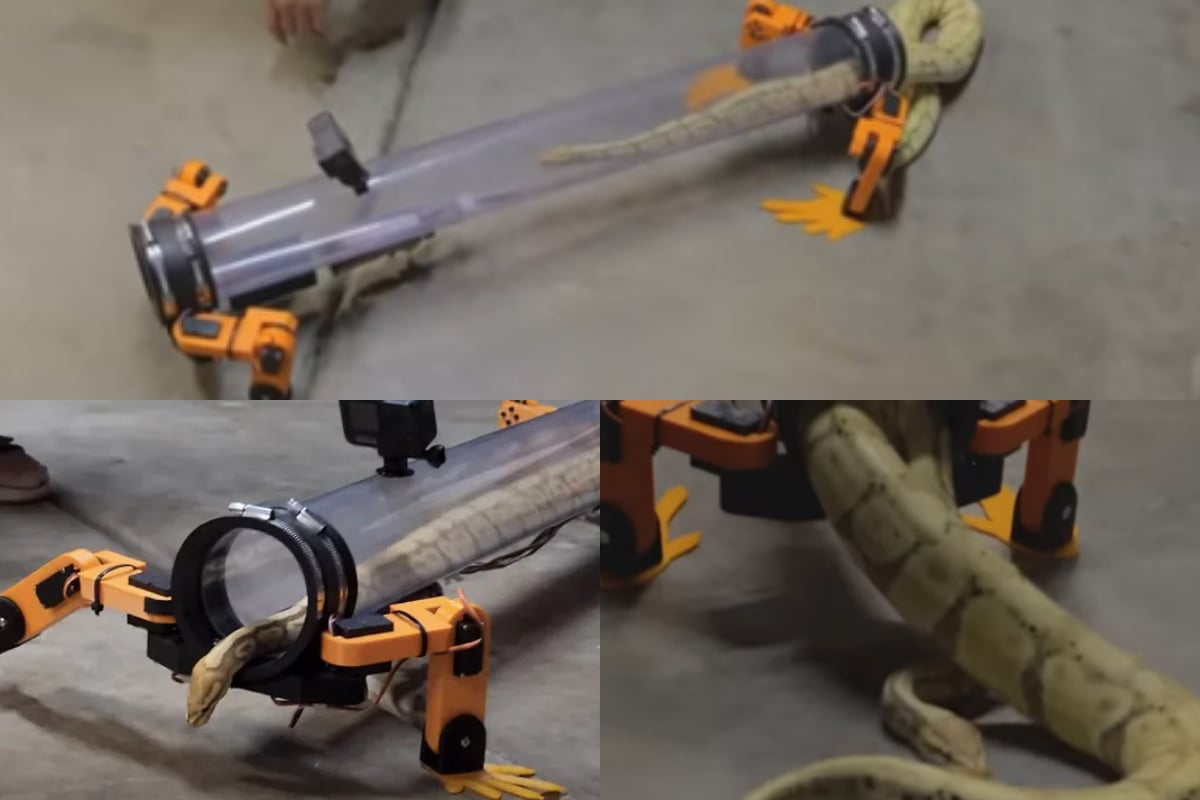 robotic legs