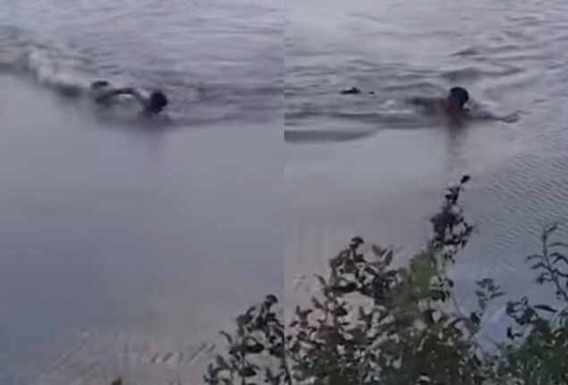 Watch: Alligator bites man’s arm swimming in lake