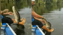 Watch: Guy feeding crocodile goes viral