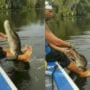 Watch: Guy feeding crocodile goes viral