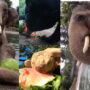 Watch: Cute animals eating watermelons will brighten your day