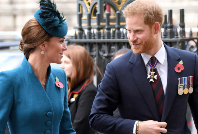 Prince Harry’s comments regarding Kate Middleton revealed