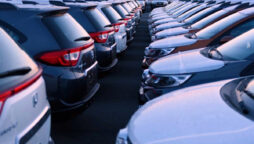 Limits on auto imports & rising prices have hurt auto sales