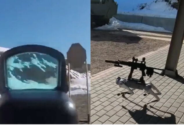 Robot dog shoots two targets in viral video