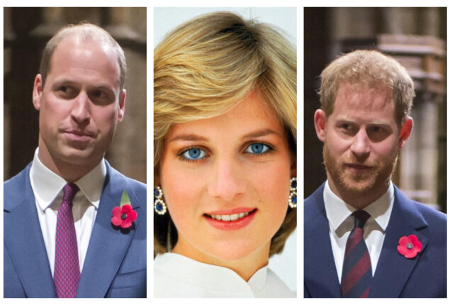 Harry and William’s separation would make Diana “saddened”