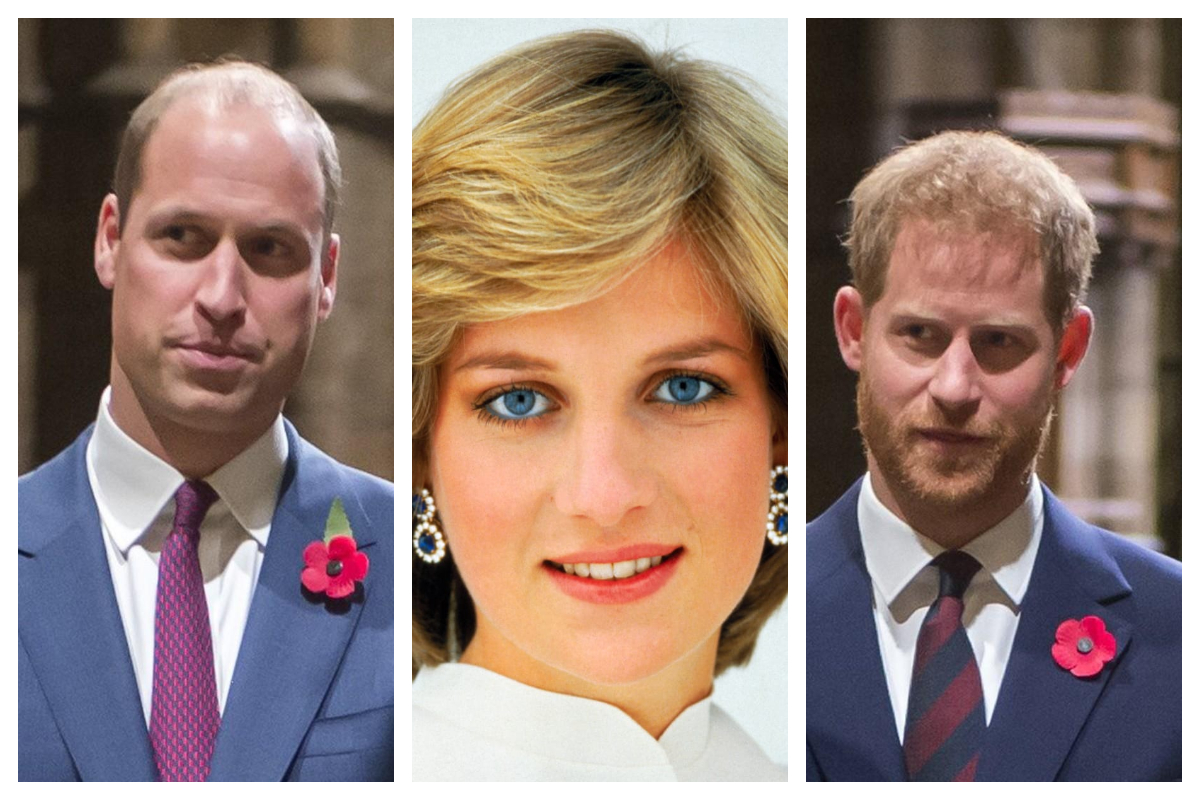 Prince Charles and William