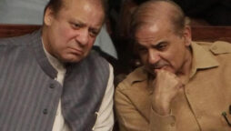 IHC reserved decision on case against Sharif brothers