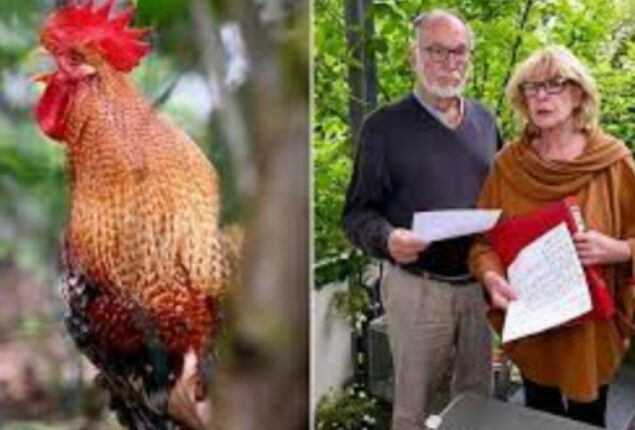 German couple