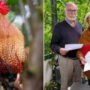 German couple sues overly-crowing rooster
