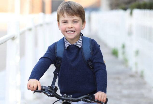 Fans says Prince Louis is ‘not sure’ how to behave
