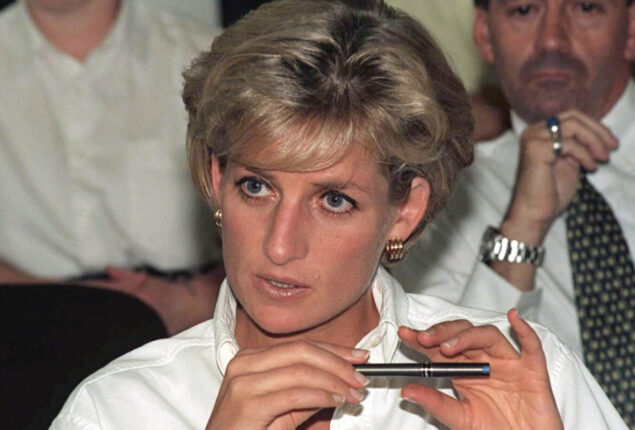 Final words of Princess Diana to fire worker who held her hand after accident