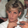 Final words of Princess Diana to fire worker who held her hand after accident