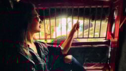 Divyanka Tripathi