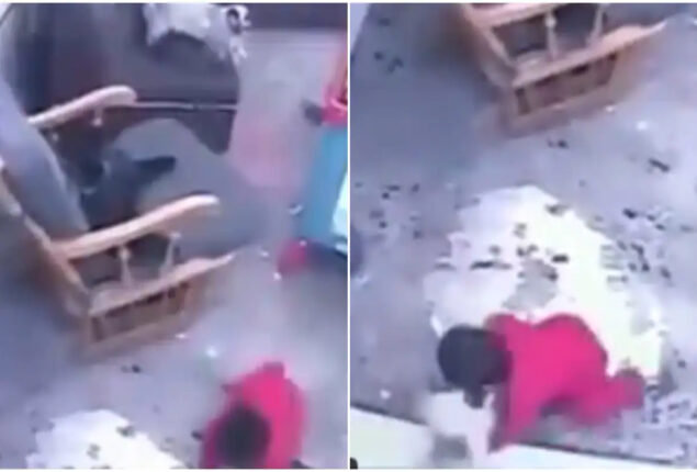 Viral video shows cat saves toddler from falling down stairs