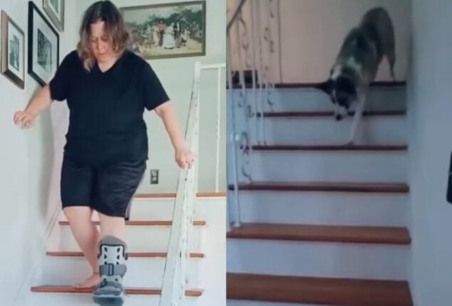 Dog tries to copy